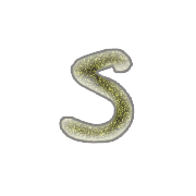 045