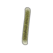 053