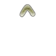 070