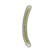 073