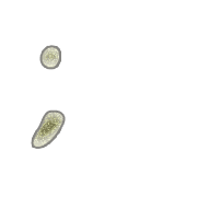 082