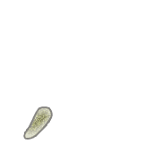 084