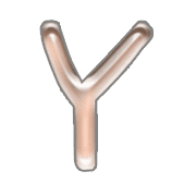 025