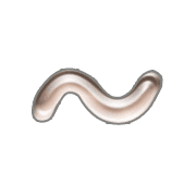 063