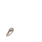 084