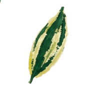 028