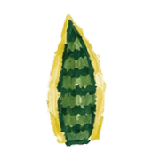 031