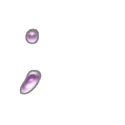 082