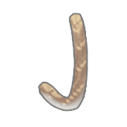010
