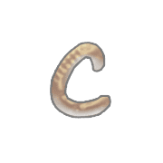 029