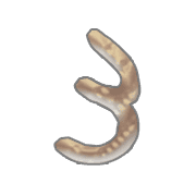 055