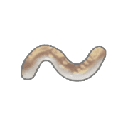 063