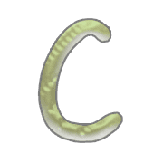 003