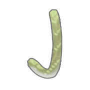 010
