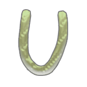 021