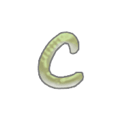 029