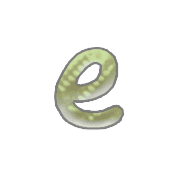 031