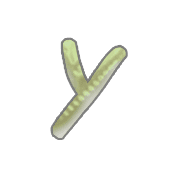 051