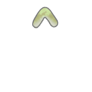 070