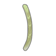 074