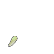 084
