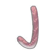 010
