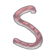 019