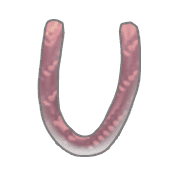 021