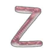 026