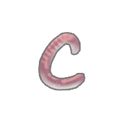 029