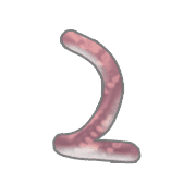 054