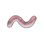 063