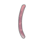 073
