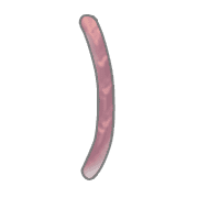 074