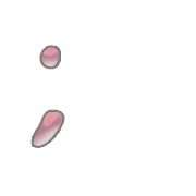 082