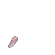 084