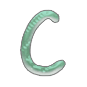003