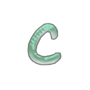 029