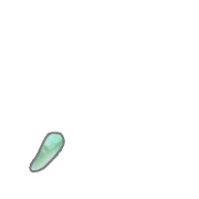 084