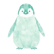 005