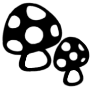 003
