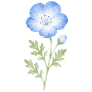 005