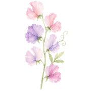 009