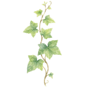 017