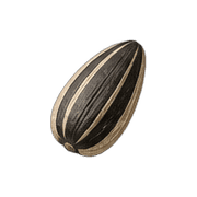 029