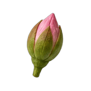 039