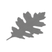 040