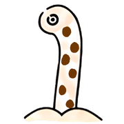 004