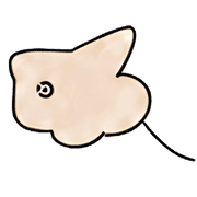 026