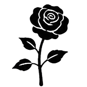 006